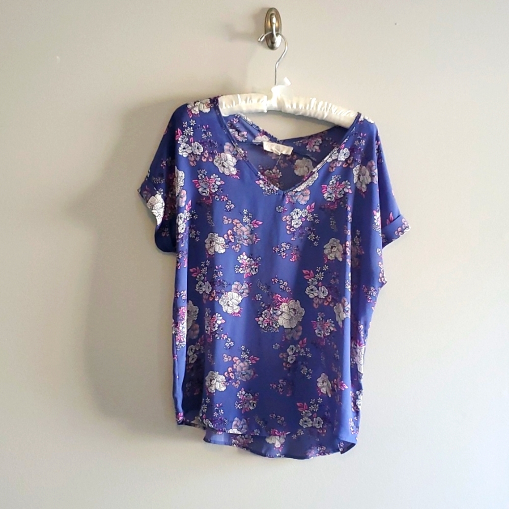Pink Rose Blue L Sheer Blouse